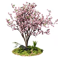 Ornamental Tree with Pink Blossoms Green Grass Small Plants and Stone Base