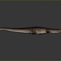Realistic 3D Model of Aquatic Creature with Long Body and Fins on Dark Background