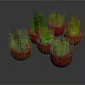 Assorted Green Plants in Red Ceramic Pots With Lush Fresh Leaves