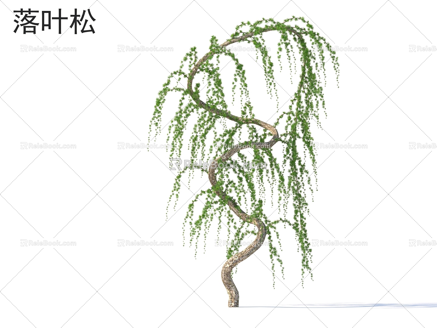 Larch Small Trees Trees Plants model