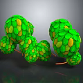 Green Spherical Plants With Yellow Spots On Orange Stems Against Dark Background