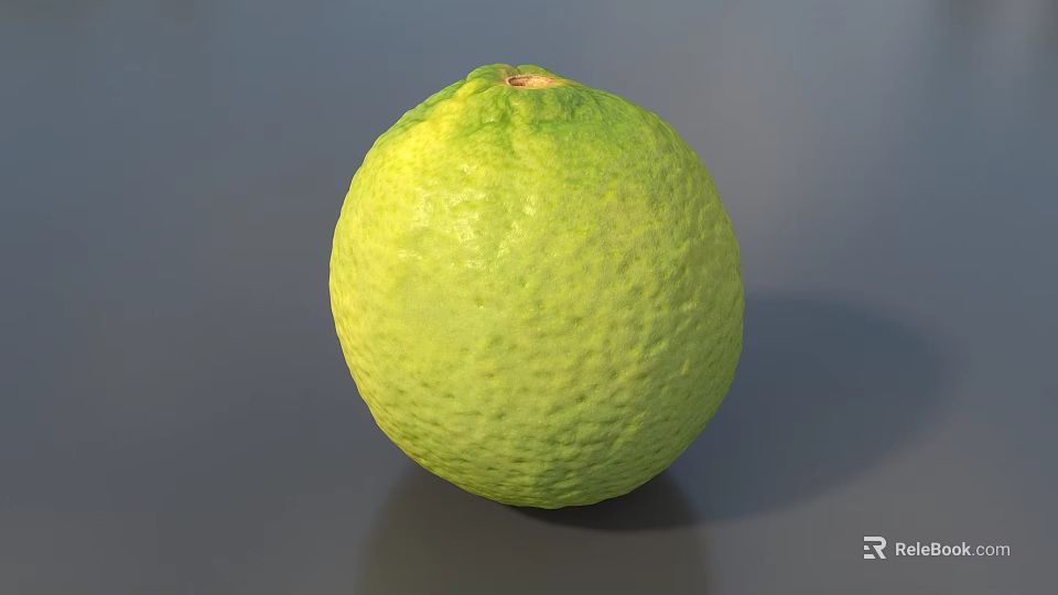 Ripe Single Fresh Green Lime With Textured Skin On Gray Background 3d model 