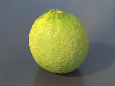 Ripe Single Fresh Green Lime With Textured Skin On Gray Background 3d model