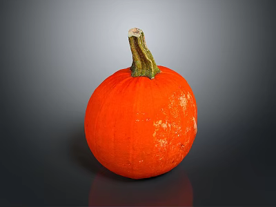 Bright Orange Pumpkin With Green Stem On Dark Background And Reflection 3d model