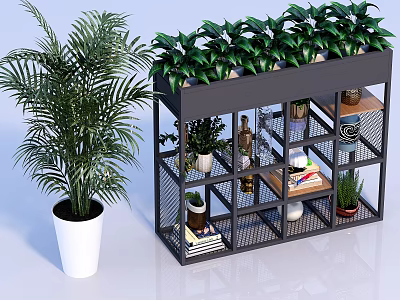 Green Potted Plants On Black Multi tiered Shelf With Decorative Items White Pot Large Plant 3d model