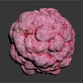 Pink Human Organ With Hairy Surface And Textured Structure On Dark Background