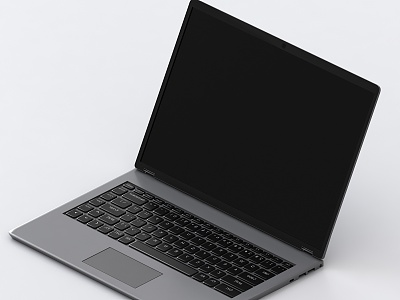 Laptops for Work 3d model