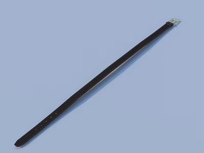 Black Leather Strap With Metal Buckle Daily Essential Fashion Accessory For Everyday Use 3d model