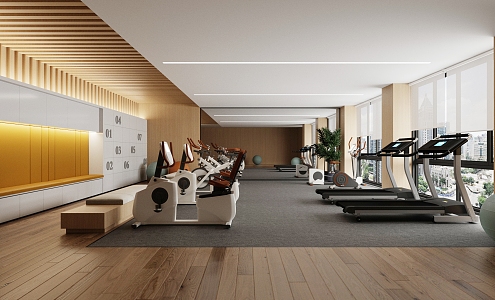 Modern Gym Fitness Area 3d model