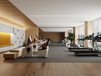 Modern Gym Fitness Area 3d model