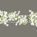 Elegant Floral Display With White Flowers And Green Plants On Metal Rack