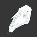 White Horse Skull With Detailed Bone Structure Isolated On Gray Background