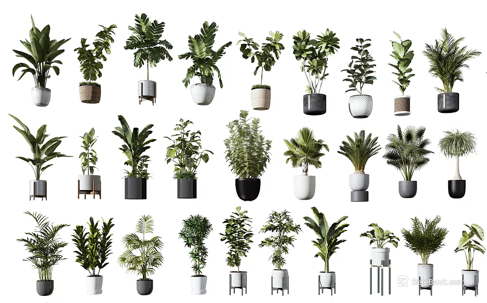 Various Indoor Potted Plant Species With Decorative Pots And Green Foliage 3d model 