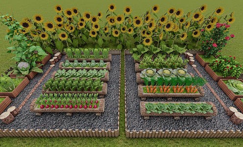 Vegetable vegetable garden vegetable field wood planting pool sunflower cucumber eggplant pepper onion watermelon radish cabbage 3d model