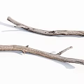 Natural Dry Wooden Branches With Rough Surface For Rustic Decor Projects 3d model