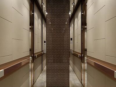 Modern Elevator Interior Design with Metal Decorative Panels Recessed Lighting and Wooden Handrails 3d model