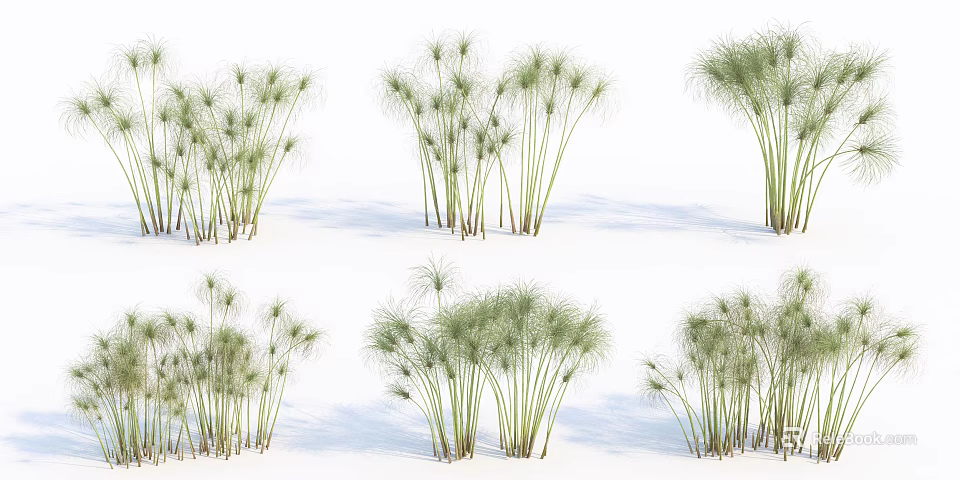 Green Grass Plants In Multiple Clusters With Different Growth Forms On White Background 3d model 