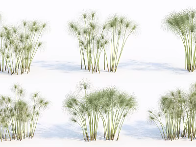 Green Grass Plants In Multiple Clusters With Different Growth Forms On White Background 3d model