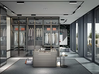 Spacious Modern Walk in Closet Interior With Glass Door Cabinets And Hanging Rails 3d model