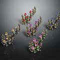 Colorful Decorative Plants With Red Purple Yellow Blue Flowers And Green Leaves
