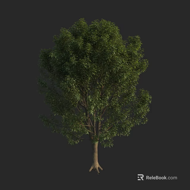Lush Green Arbor with Dense Foliage and Brown Trunk Isolated on Dark Background 3d model 