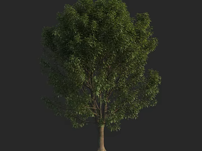 Lush Green Arbor with Dense Foliage and Brown Trunk Isolated on Dark Background 3d model