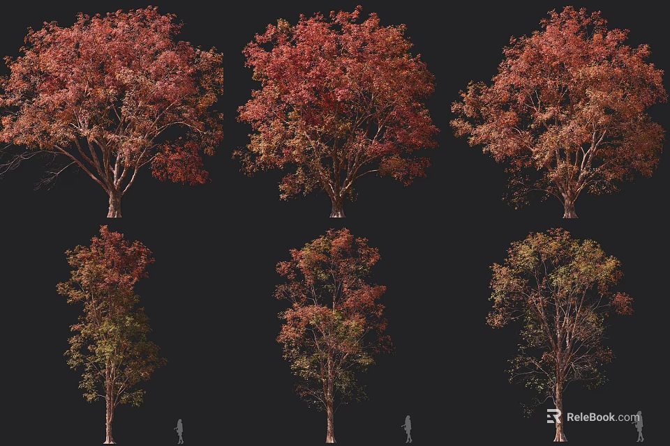 Colorful Autumn Arbor Trees With Red Orange Yellow Foliage And Different Varieties 3d model 