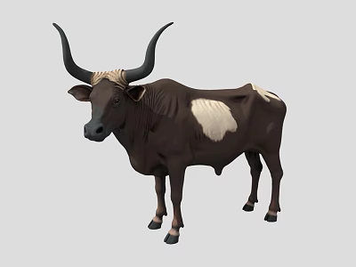 Niu Niu Realistic Niu Ankele-Vadusi Niu 3d model