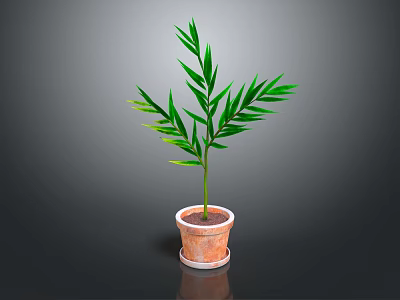 Lush Green Leafy Plant with Long Narrow Leaves in Terracotta Pot on Dark Background 3d model