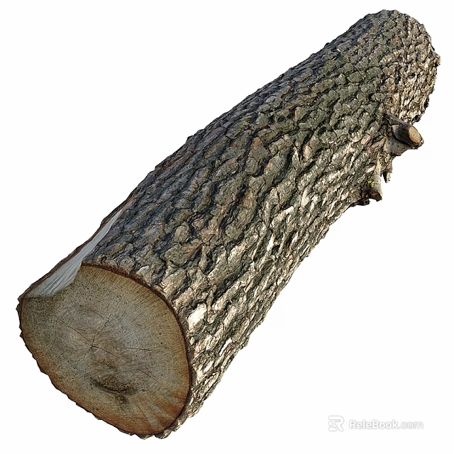 Mature Tree Trunk with Rough Bark Texture and Visible Growth Rings on Cross Section 3d model