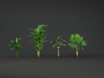 Indoor Green Plant Combination Featuring Various Tropical Foliage and Palm Species 3d model