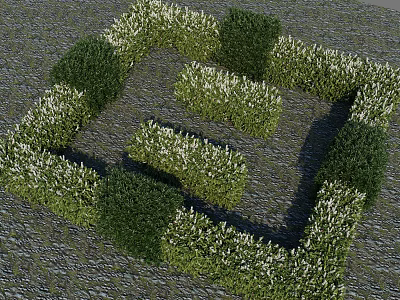 Well Trimmed Shrubs Forming Geometric Pattern With Green Foliage And White Blossoms On Garden Ground 3d model