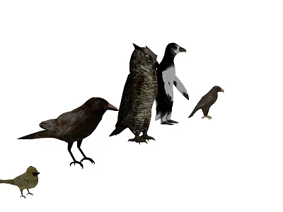 Image of Various Flying Animals Featuring Owl Crow and Small Birds 3d model