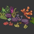 Colorful Marine Corals Seaweeds and Rocks Collection for Scene Design