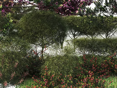 Various Types Of Bushes With Lush Green Foliage And Red Blooms In Garden 3d model