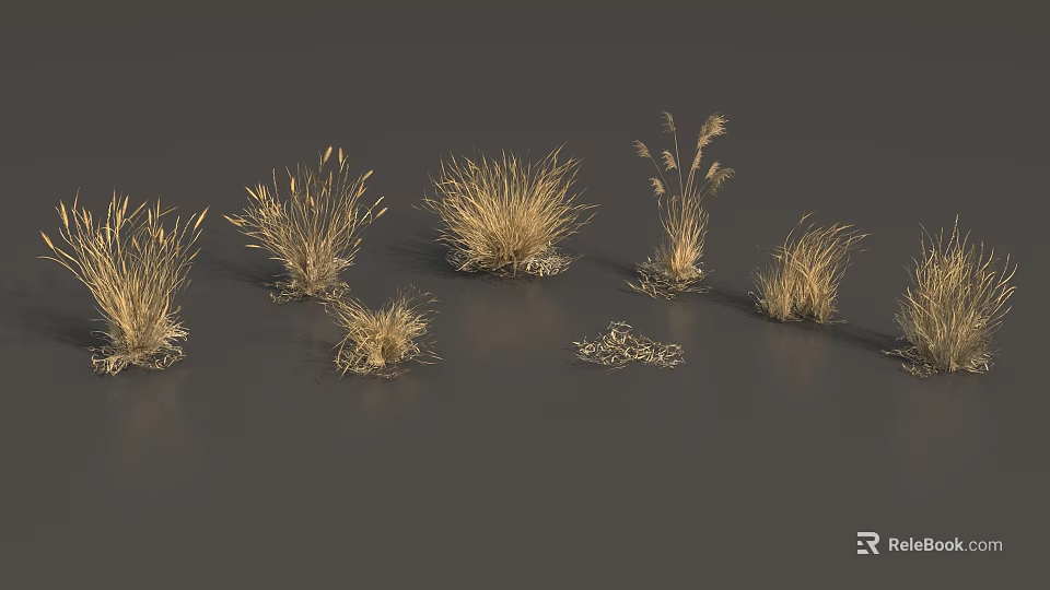 Golden Grass Displaying Various Shapes Different Heights And Spike Structures On Gray Background 3d model