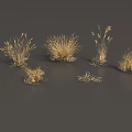 Golden Grass Displaying Various Shapes Different Heights And Spike Structures On Gray Background 3d model