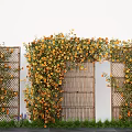 Lush Climbing Plant Combination With Orange Flowers On Bamboo Trellis And Garden Archway