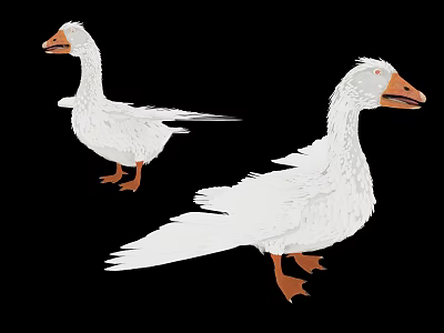 White Geese With Orange Feet Standing On Black Background Illustration 3d model