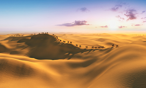 Modern Desert Camel 3d model