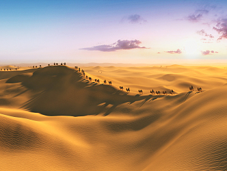 Modern Desert Camel 3d model