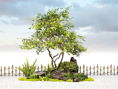 Modern Courtyard Landscape Stone Landscaping Lemon Tree Orange Tree Green Planting Foxtail Asparagus 3d model