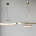 Modern Circular Ring Pendant Lights With Metal Frame Hanging In Interior Space 3d model