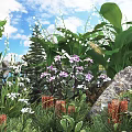Garden Shrubs In Natural Landscape With Purple Flowers White Blooms Green Foliage And Stone Accents
