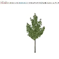 Modern Arbor Street Tree Courtyard Tree Landscape Tree Ginkgo Tree Forest Trees 3d model