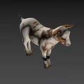 Cute White and Brown Baby Goat Standing with Shadow on Green Background