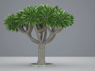 Lush Green Leafy Arbor With Thick Trunk Multiple Branches And Umbrella Shape 3d model
