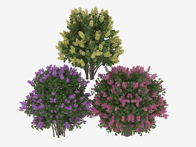 Flowering Trees With Yellow Purple And Pink Blossoms In Lush Foliage 3d model