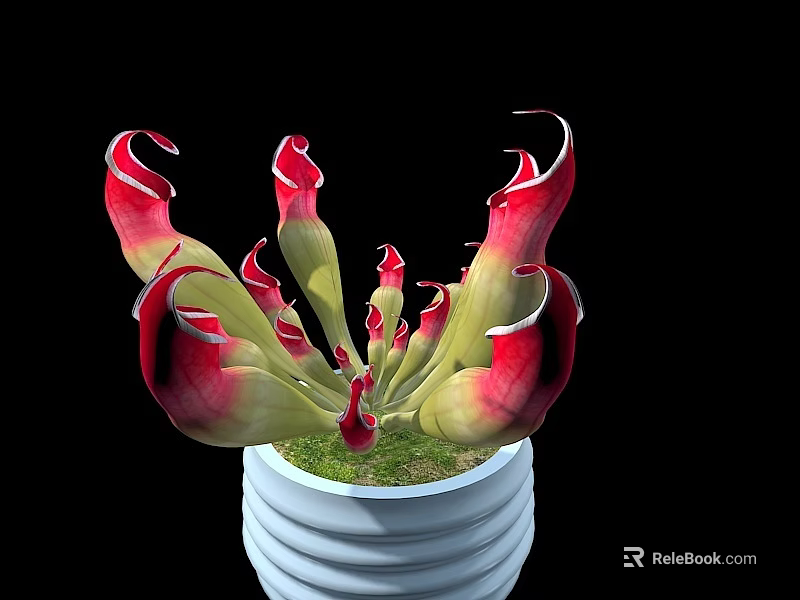 Bonsai Potted Plant Featuring Red Green Curved Petals In White Pot With Green Grass 3d model 