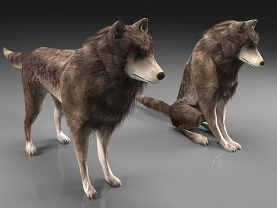 animal wolf 3d model animal wolf 3d model
